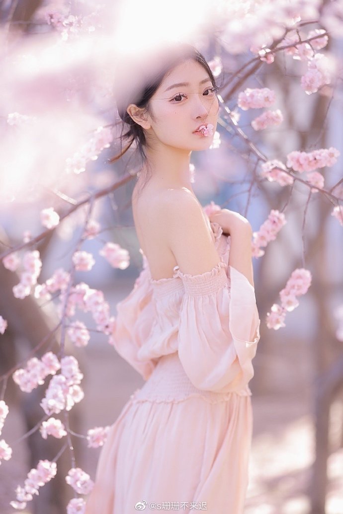 回到未来